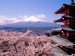 Fuji%2C_Japan_-_Cherry_Blossoms_and_Mount[2].jpg